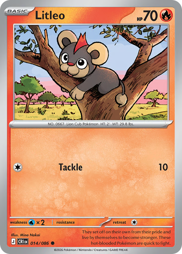 #14-LITLEO / Basic