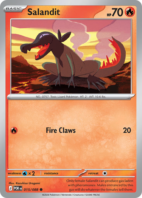 #15-SALANDIT / Basic