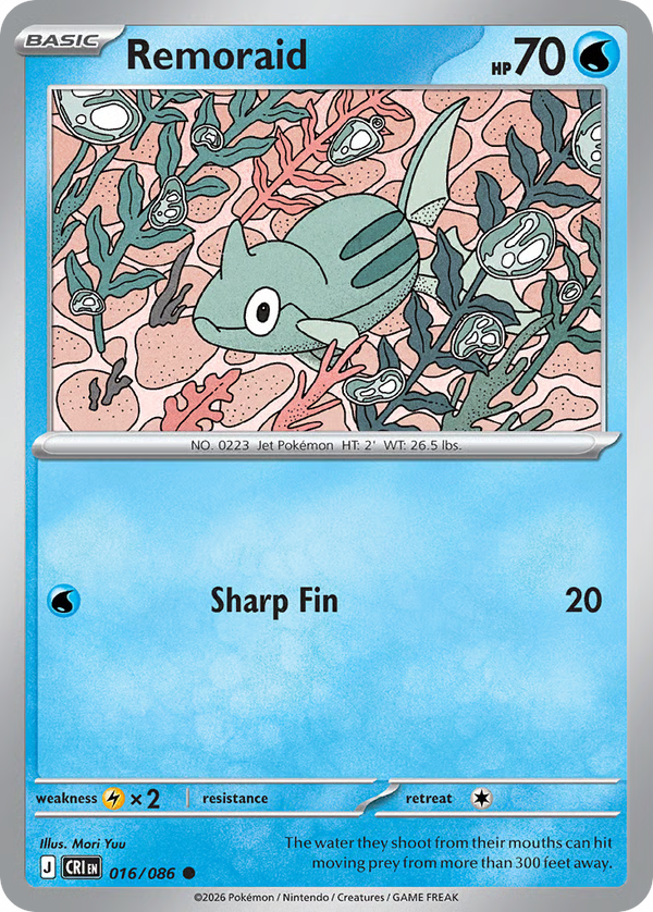 #16-REMORAID / Basic