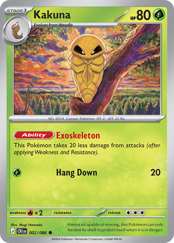 #2-KAKUNA / Basic