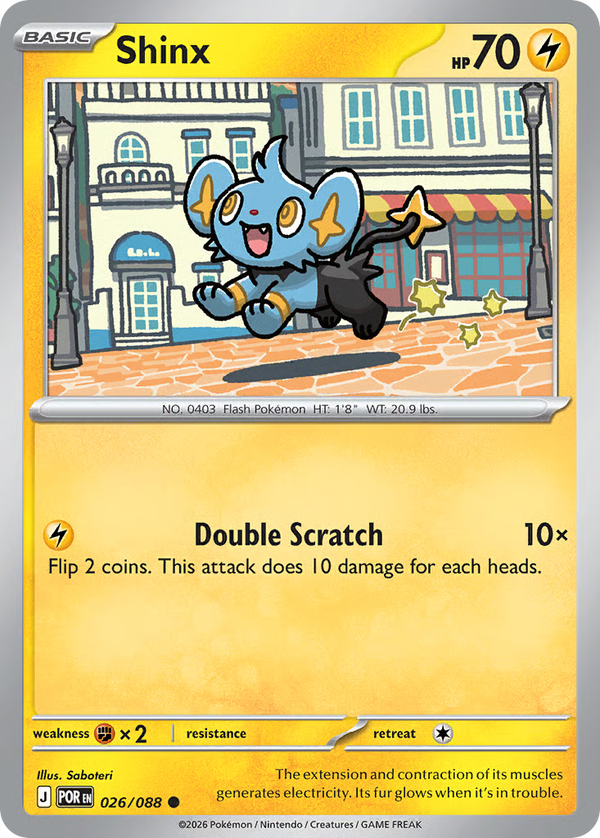 #26-SHINX / Basic