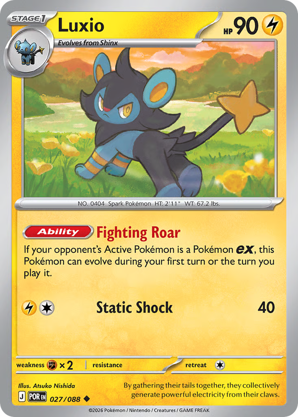 #27-LUXIO / Basic