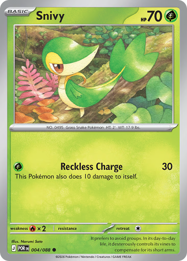 #4-SNIVY / Basic