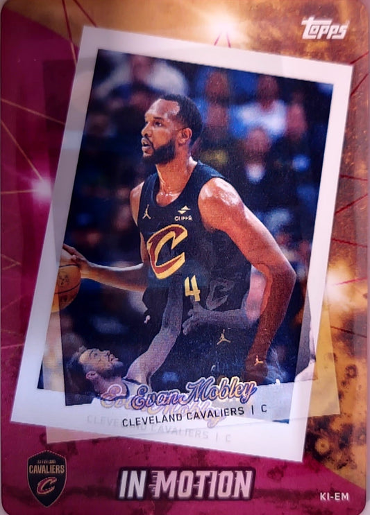 IN MOTION Inserts
