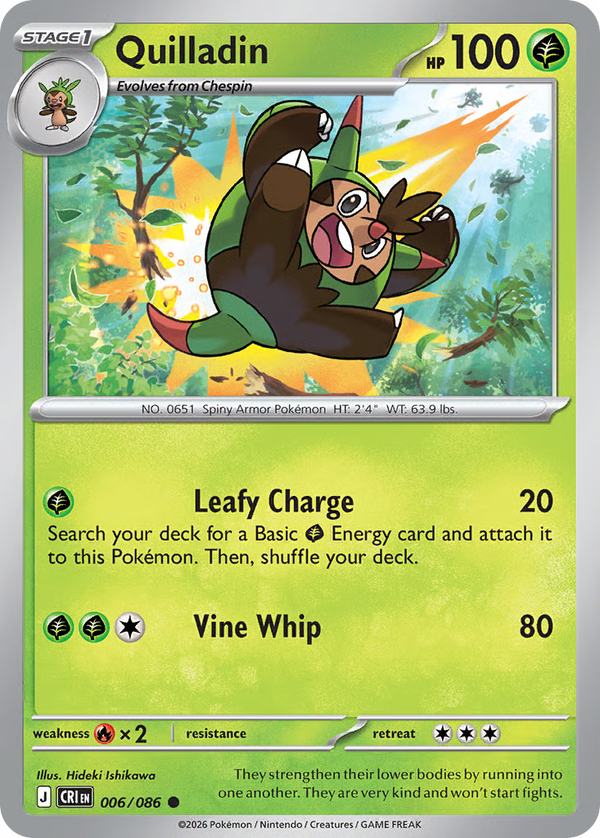 #6-QUILLADIN / Basic