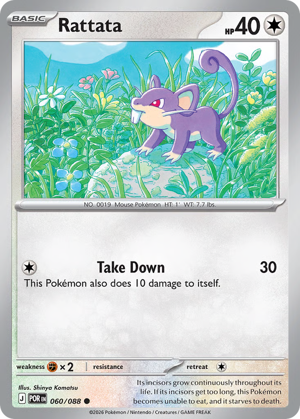 #60-RATTATA / Basic