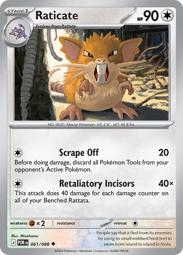 #61-RATICATE / Basic