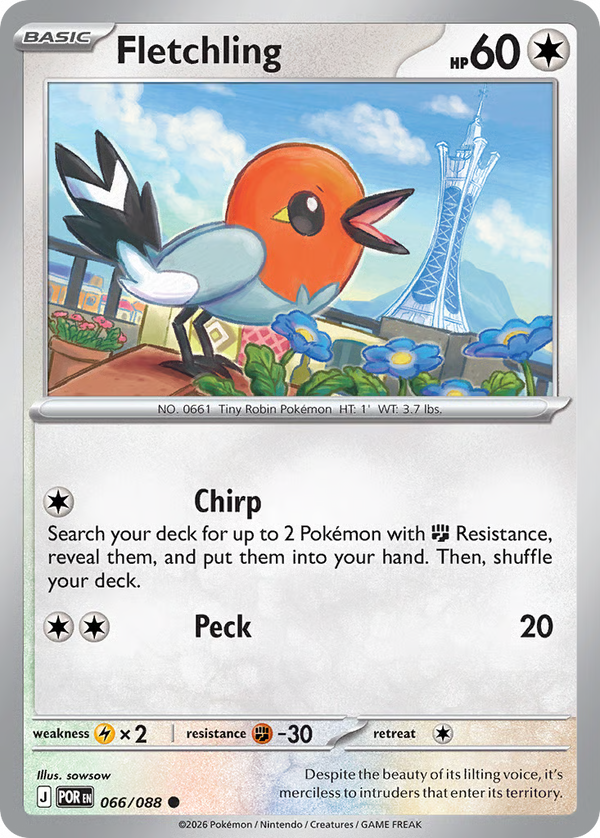 #66-FLETCHLING / Basic