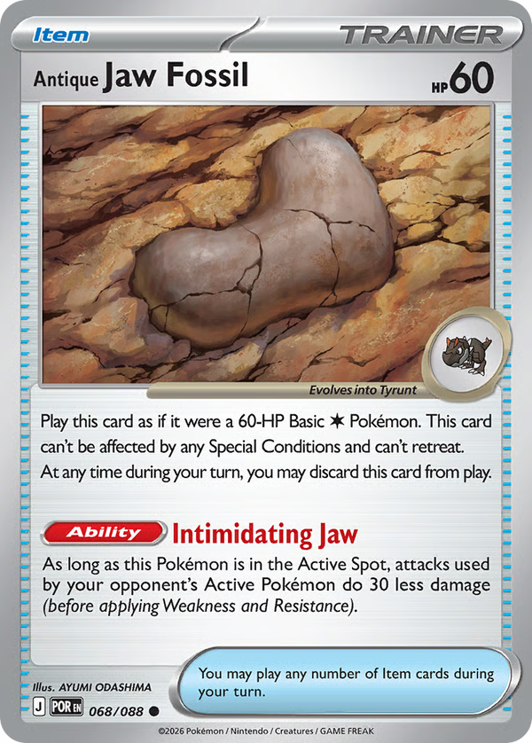 #68-ANTIQUE JAW FOSSIL / Basic