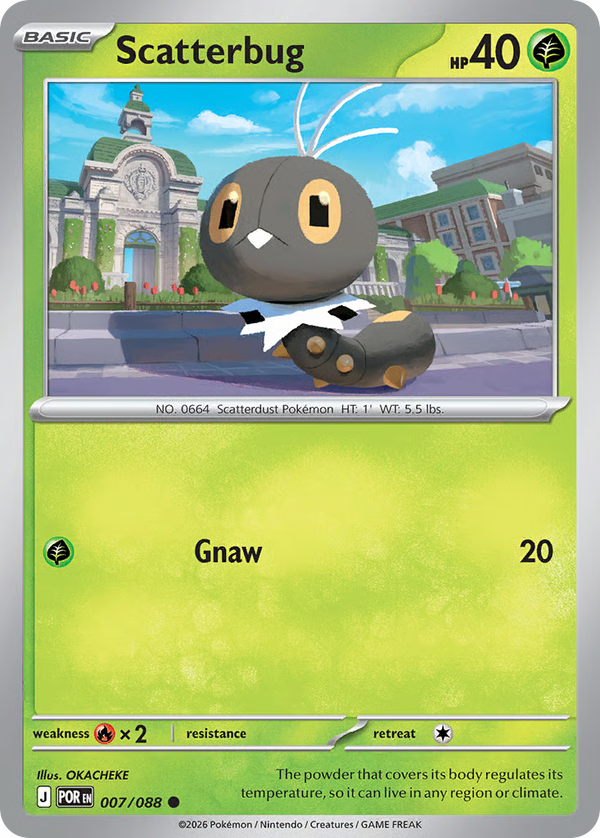 #7-SCATTERBUG / Basic