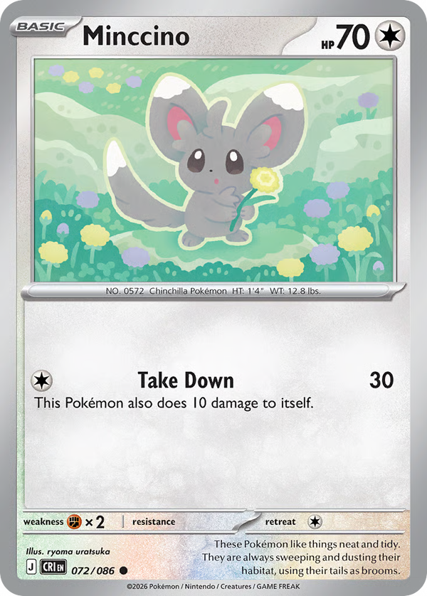 #72-MINCCINO / Basic