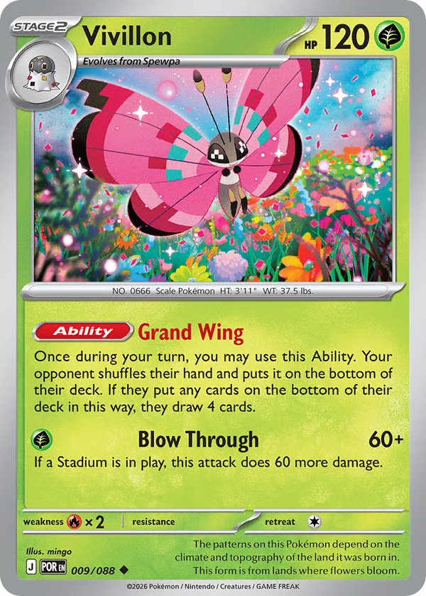 #9-VIVILLON / Basic